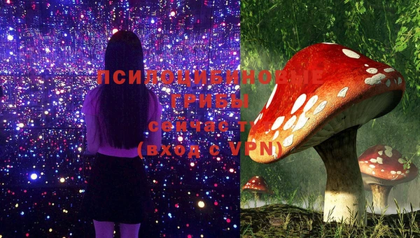мефедрон Зеленодольск